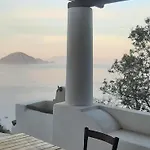 L'olivuzza *