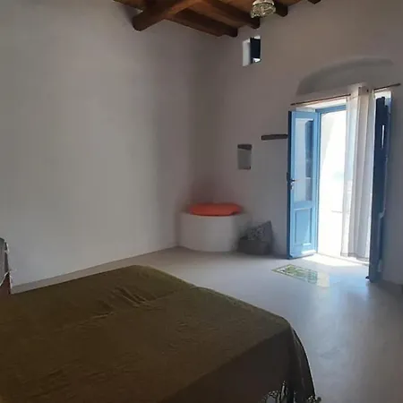 L'olivuzza *