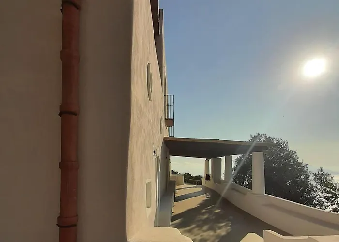 L'olivuzza